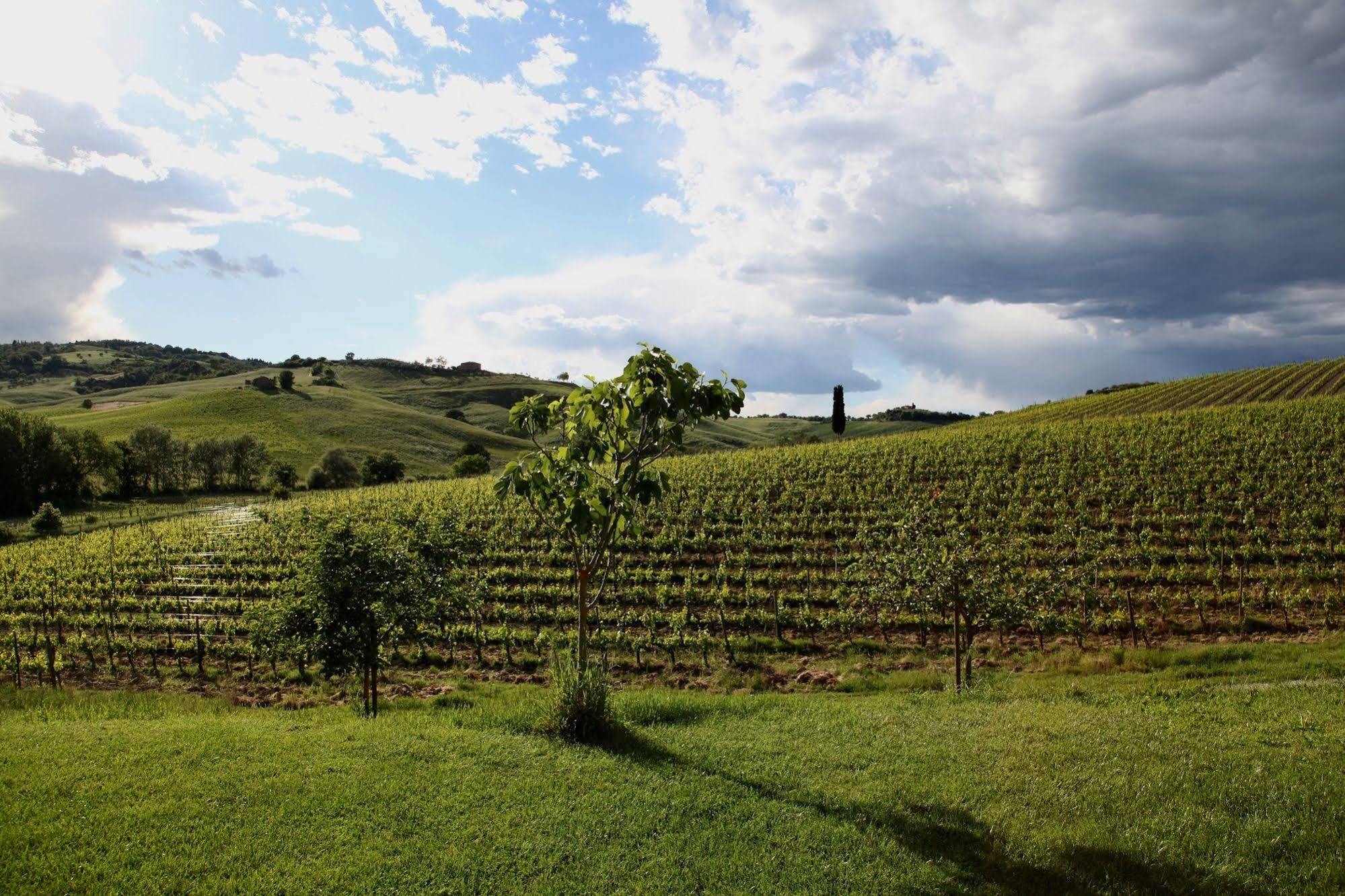 Follonico 4-Suite B&B Torrita di Siena Luaran gambar