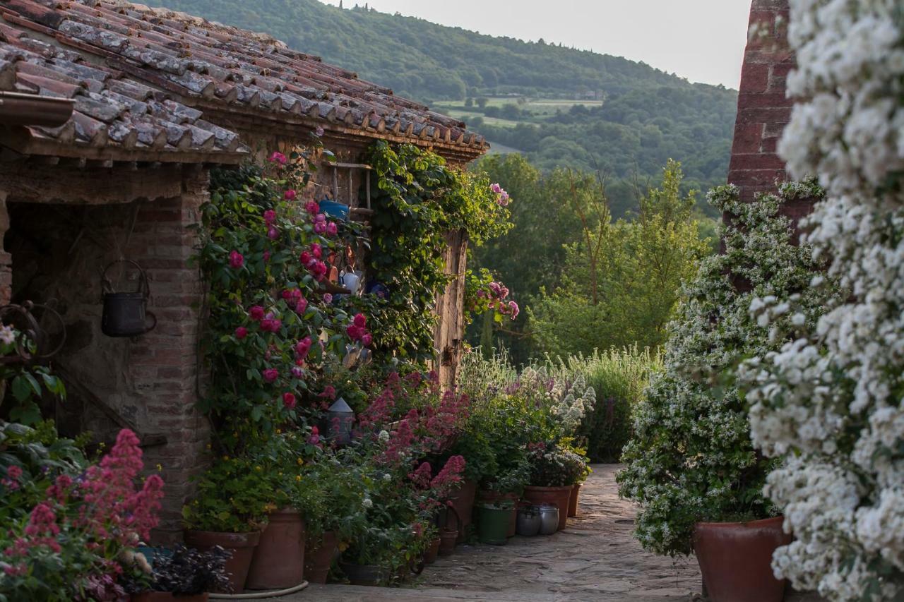 Follonico 4-Suite B&B Torrita di Siena Luaran gambar
